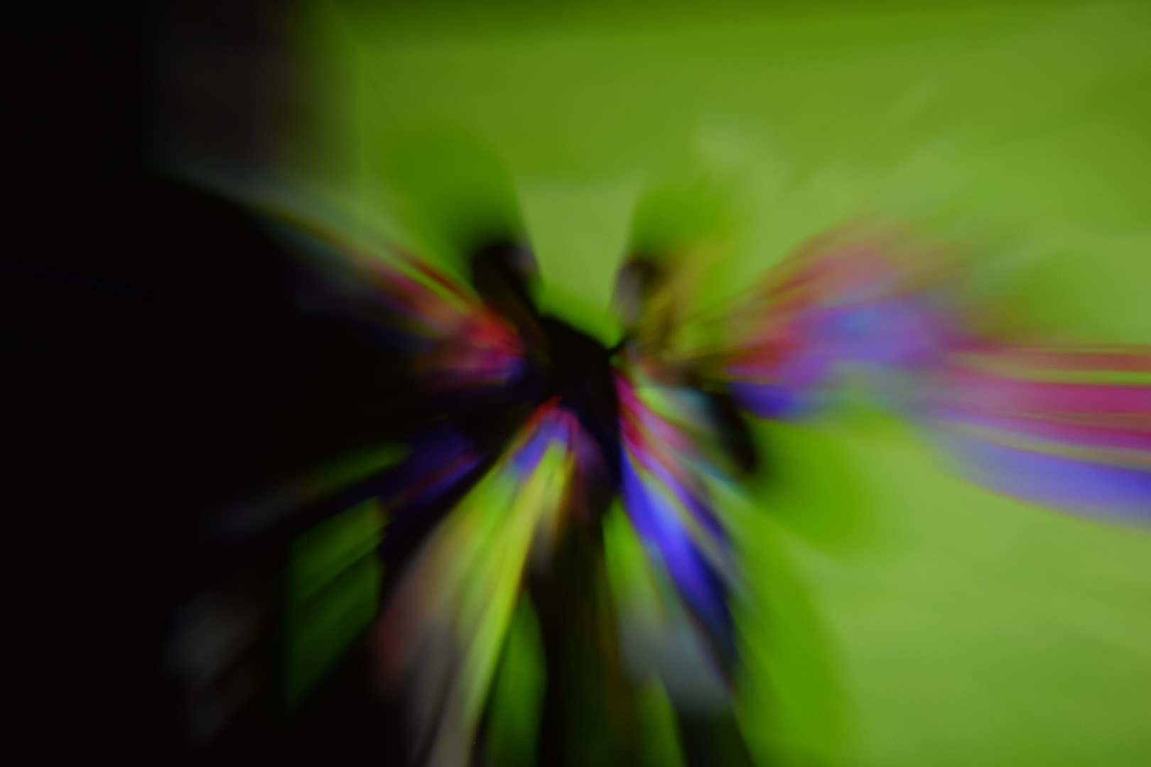 echo visuel 6